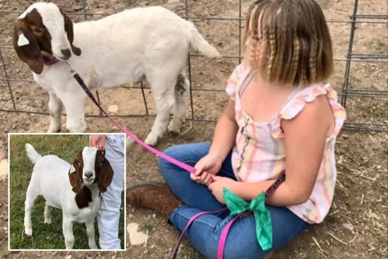 11-Year-Old Girl Wins $300K After Police Seize and Slaughter Her Pet Goat