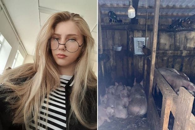 Girl, 17, mauled to death by pigs after ‘neighbour knocked her out after row’