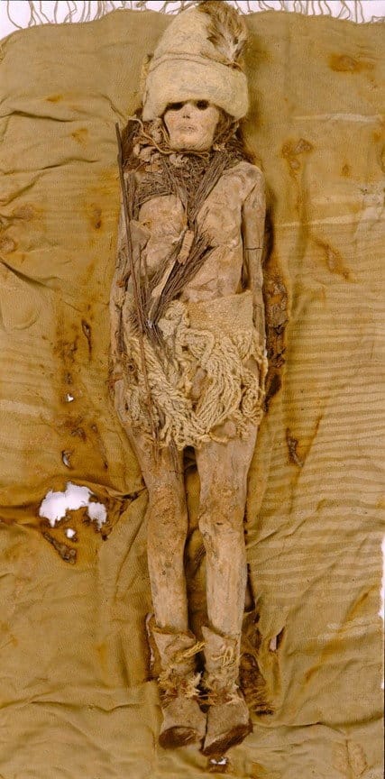 World's oldest cheese found on ancient Chinese mummies